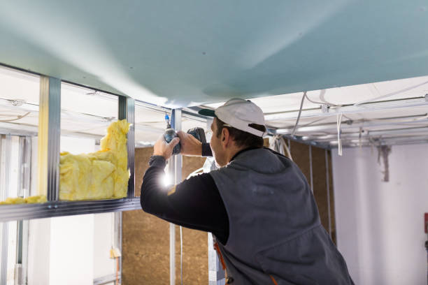 Best Commercial Insulation in Fair Lakes, VA