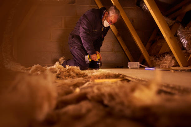 Best Insulation Maintenance and Repair in Fair Lakes, VA